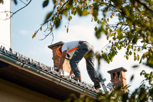 Best Roof Repair Services  in Fort Totten, ND